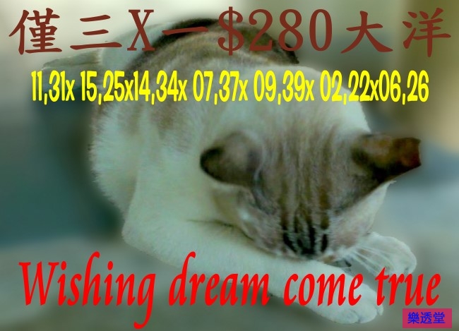 lotto