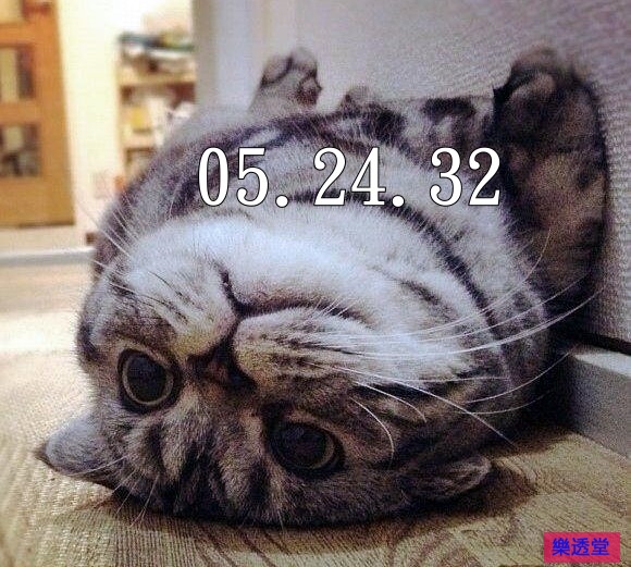 lotto