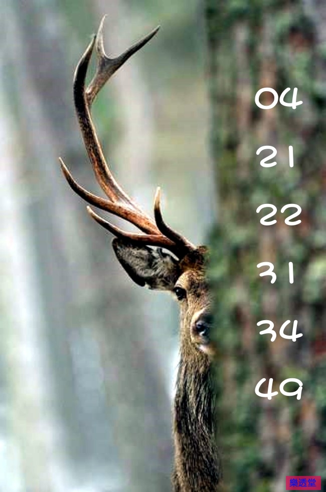 lotto
