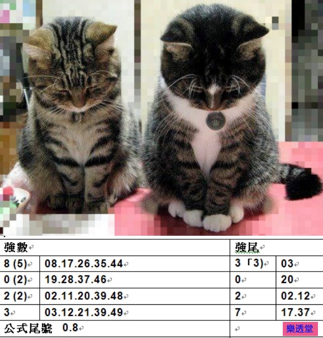 lotto