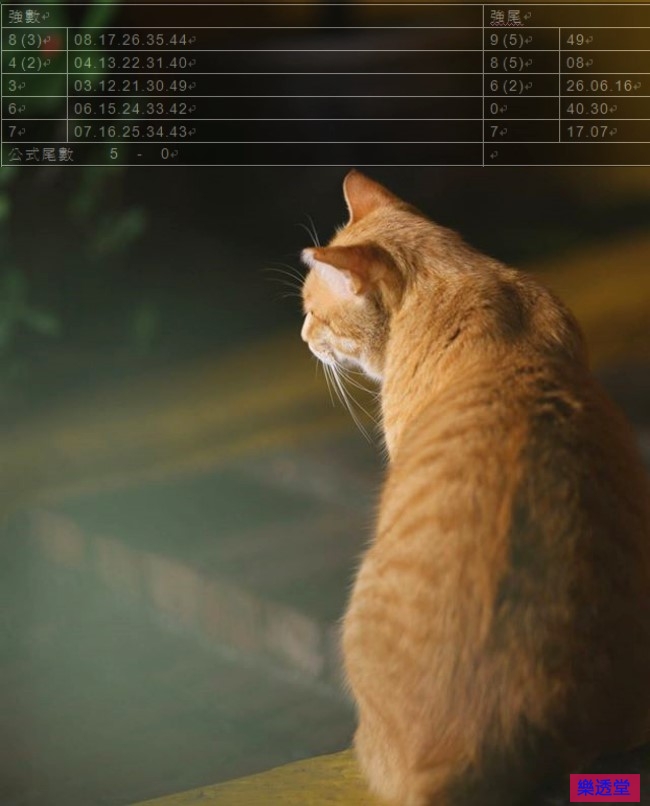 lotto
