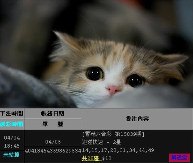 lotto