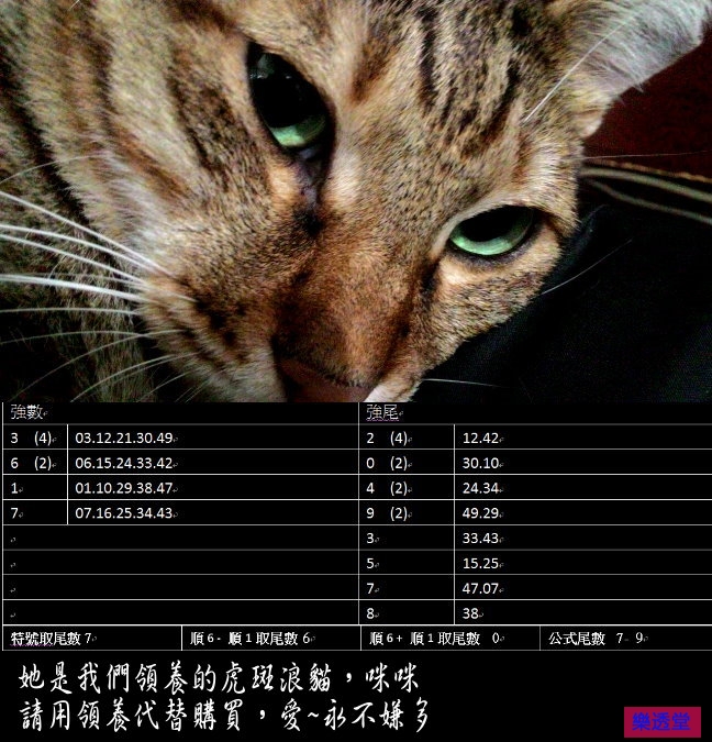 lotto
