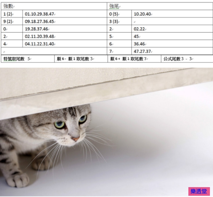 lotto