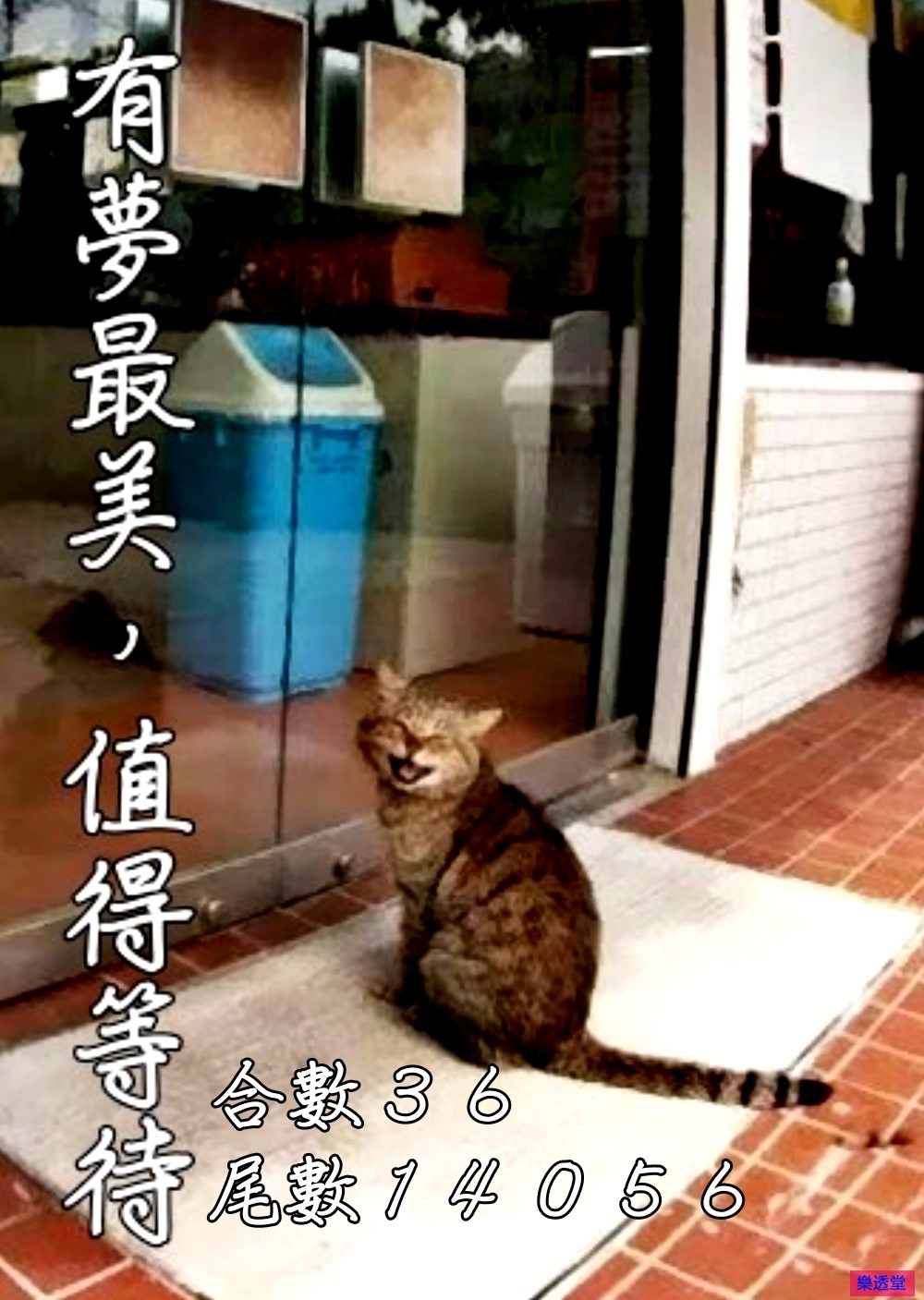 lotto