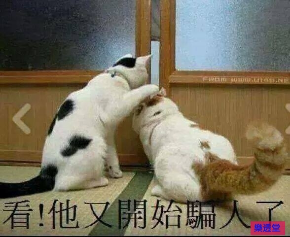 lotto