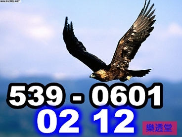 lotto