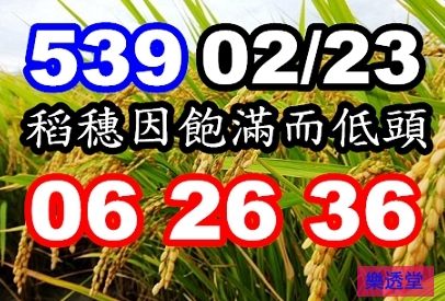 lotto