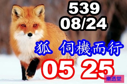lotto